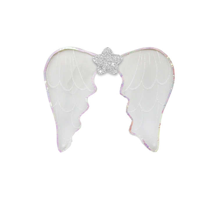 62009-Iridescent Angel Wings with Glitter Star
