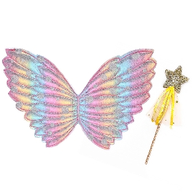 Rainbow wing&wand set