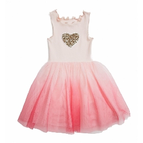 Princess Tutu Dress