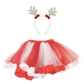 2Pcs Christmas tut skirt set