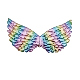 Rainbow wing